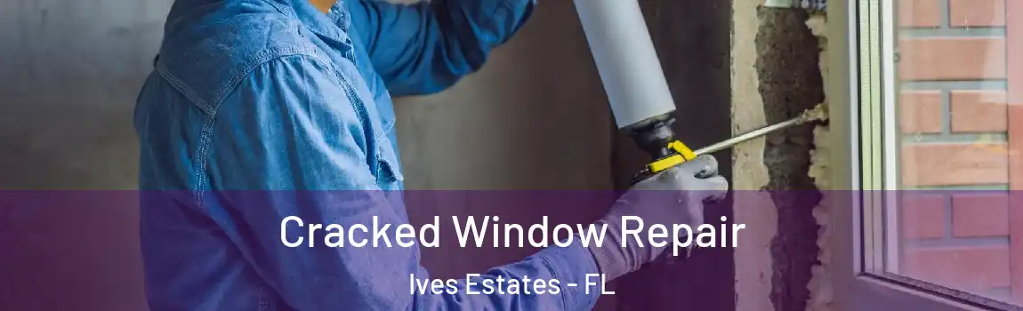 Cracked Window Repair Ives Estates - FL