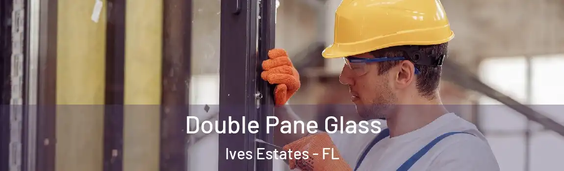 Double Pane Glass Ives Estates - FL