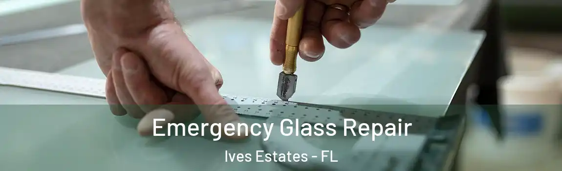 Emergency Glass Repair Ives Estates - FL