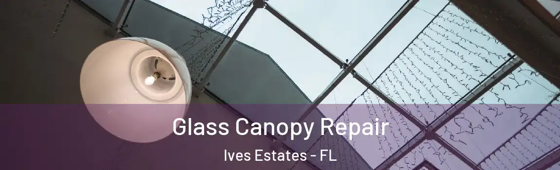 Glass Canopy Repair Ives Estates - FL