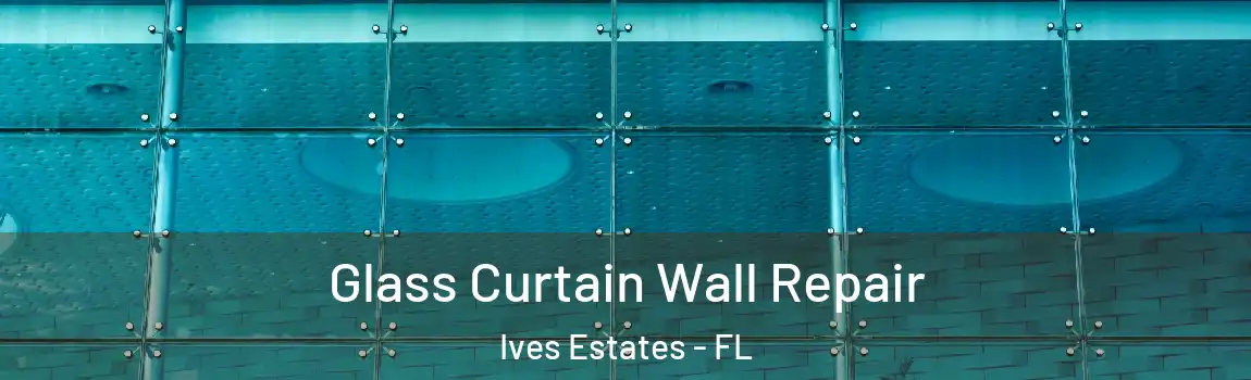 Glass Curtain Wall Repair Ives Estates - FL