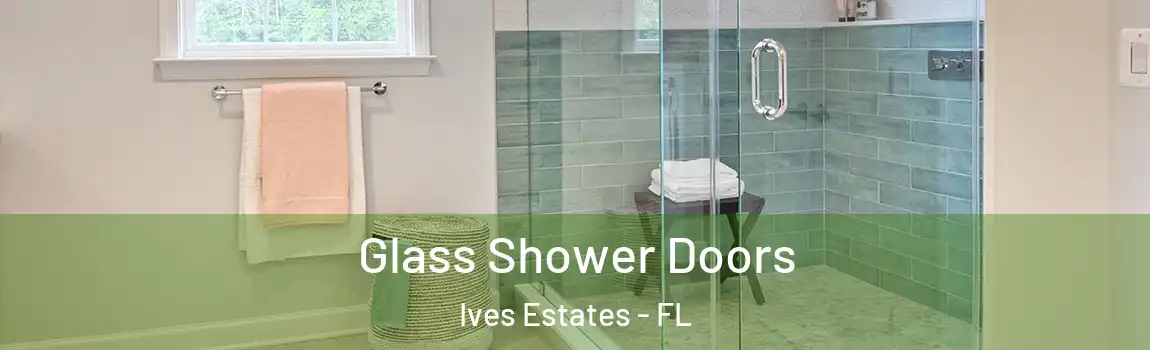 Glass Shower Doors Ives Estates - FL