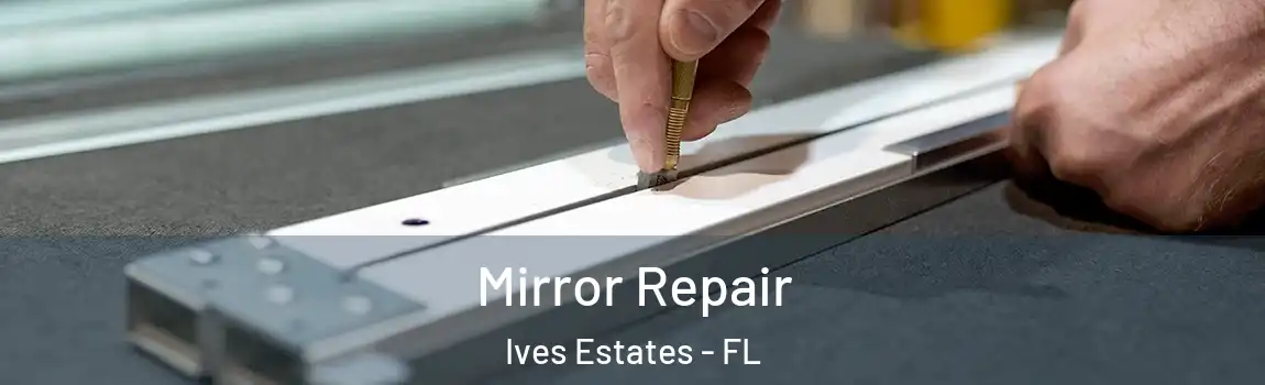 Mirror Repair Ives Estates - FL