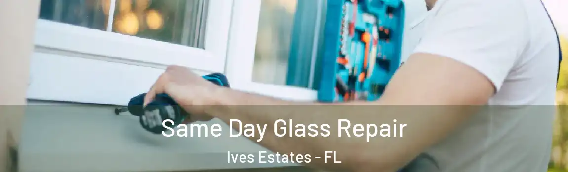 Same Day Glass Repair Ives Estates - FL