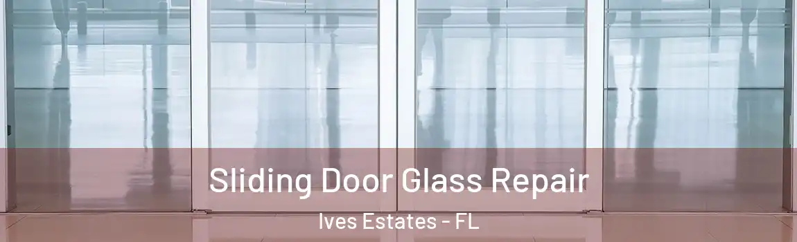Sliding Door Glass Repair Ives Estates - FL