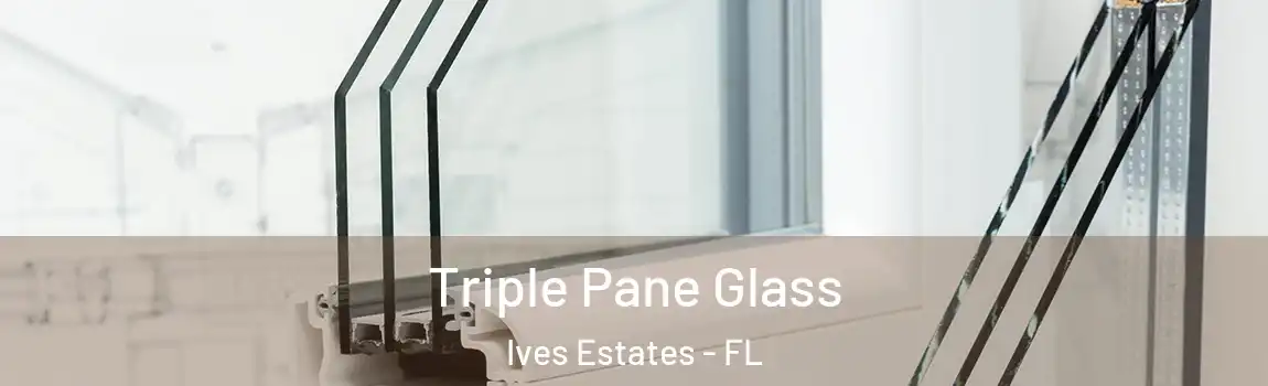 Triple Pane Glass Ives Estates - FL