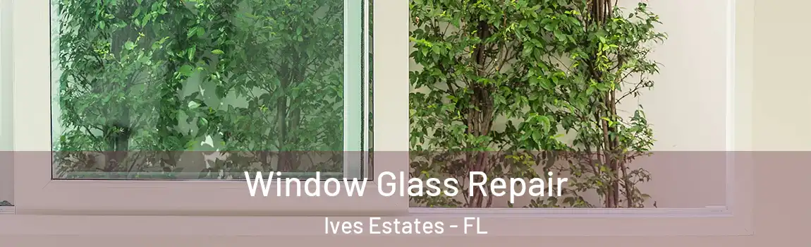  Window Glass Repair Ives Estates - FL