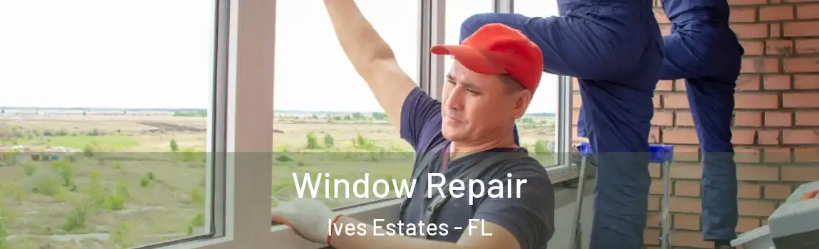 Window Repair Ives Estates - FL