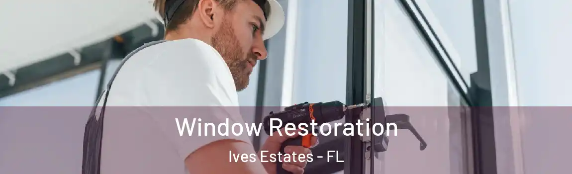 Window Restoration Ives Estates - FL